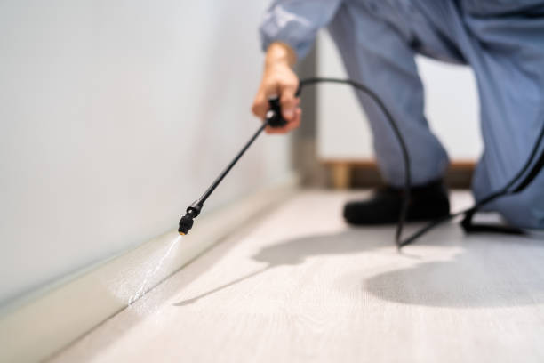 Certified termite inspector examining foundation in Sloan