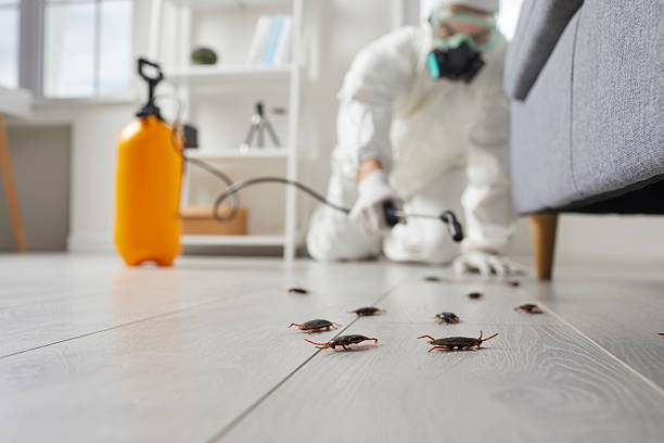Commercial Rodent Management in Sloan